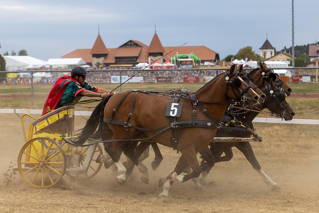 几乎没有给 几乎没有给